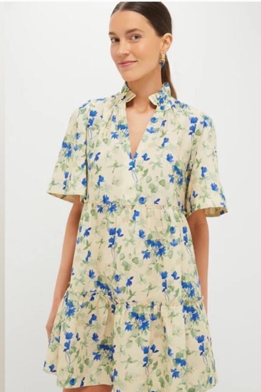 Tuckernuck Bellflower Blooms Crawford Dress M